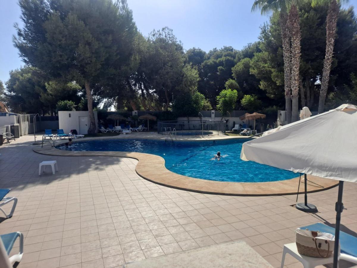 Paraiso Pinar De גרוצ'ה מראה חיצוני תמונה
