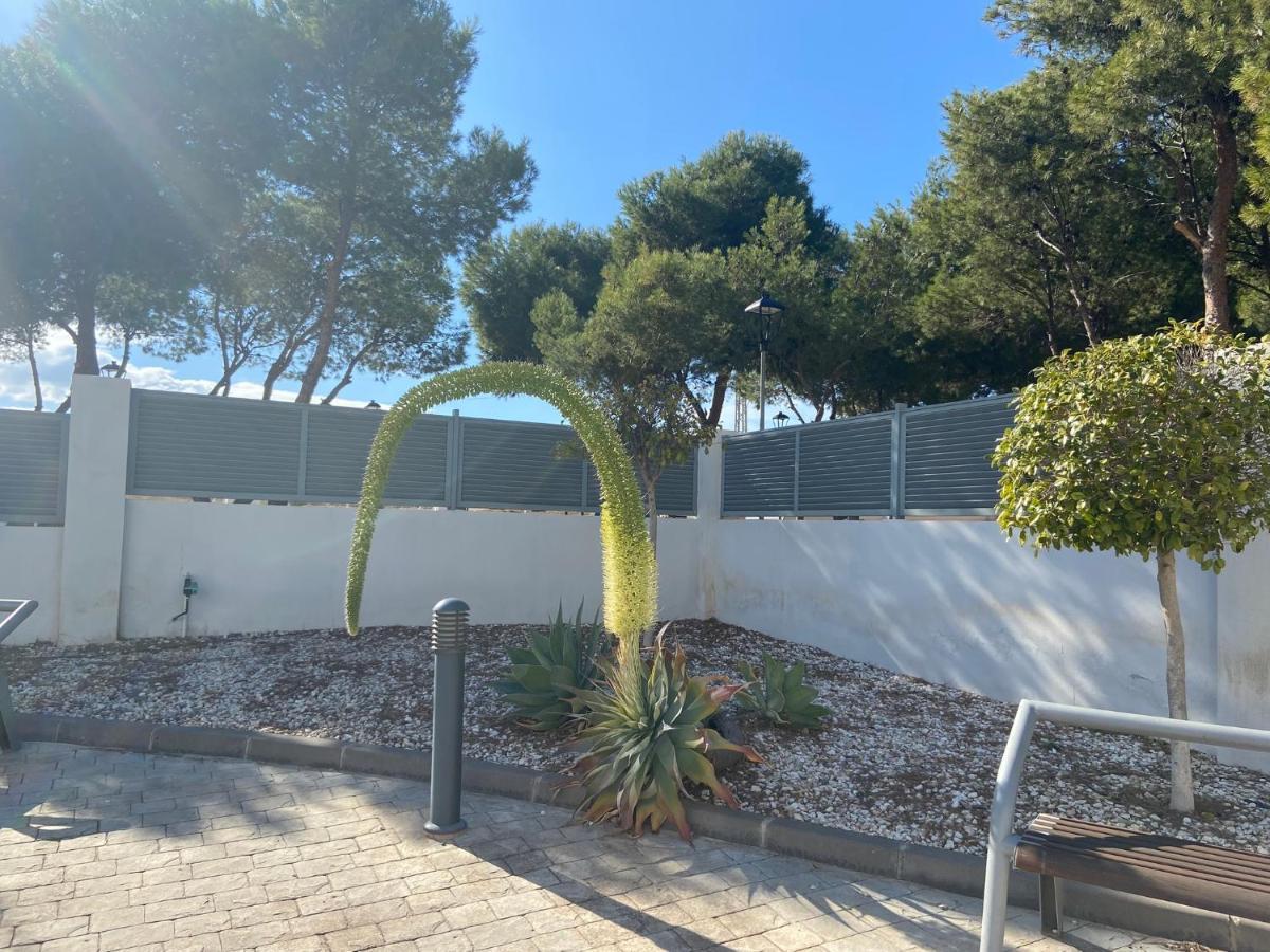 Paraiso Pinar De גרוצ'ה מראה חיצוני תמונה