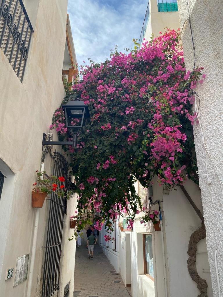 Paraiso Pinar De גרוצ'ה מראה חיצוני תמונה