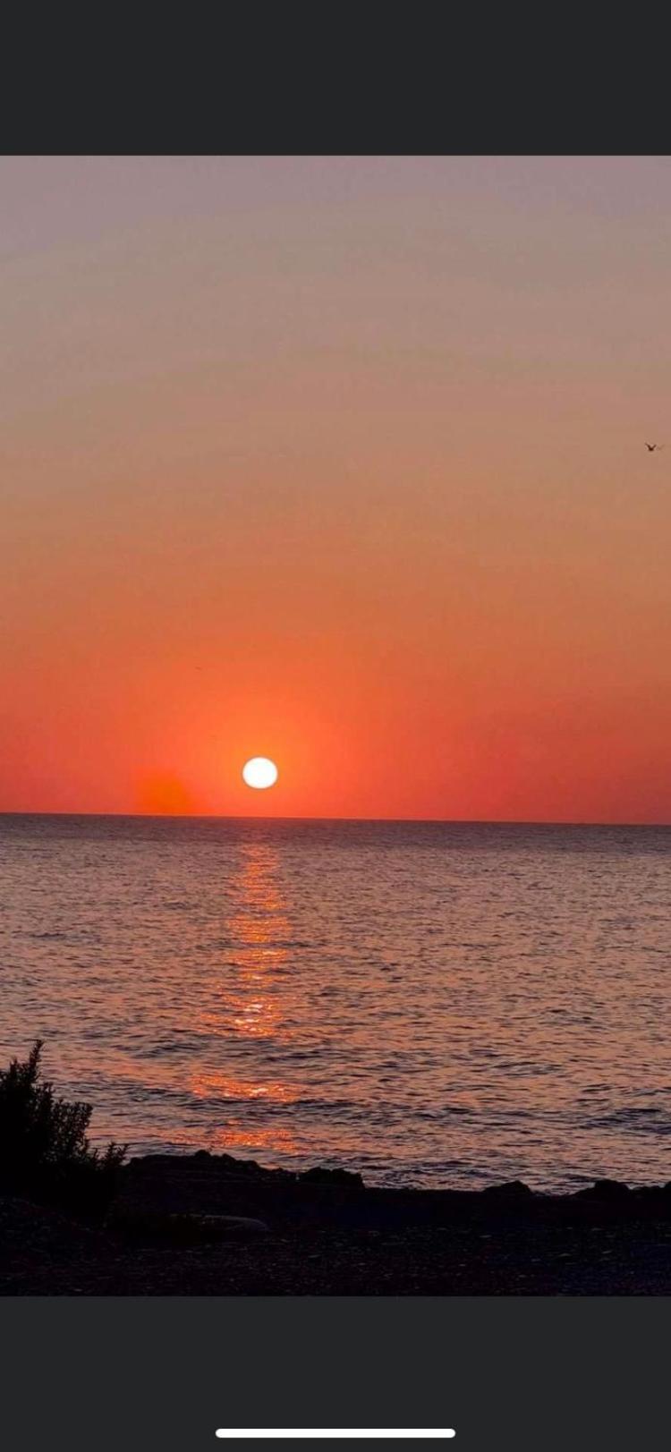 Paraiso Pinar De גרוצ'ה מראה חיצוני תמונה